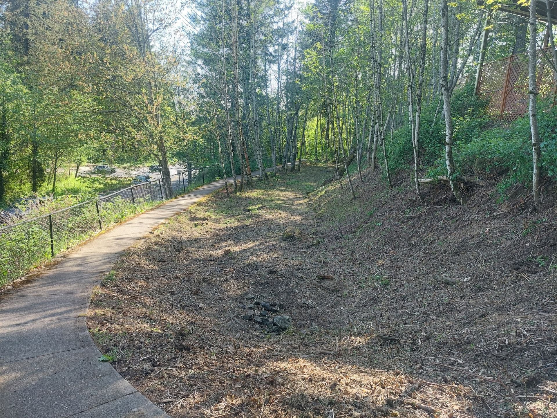 Initial swale condition before restoration work