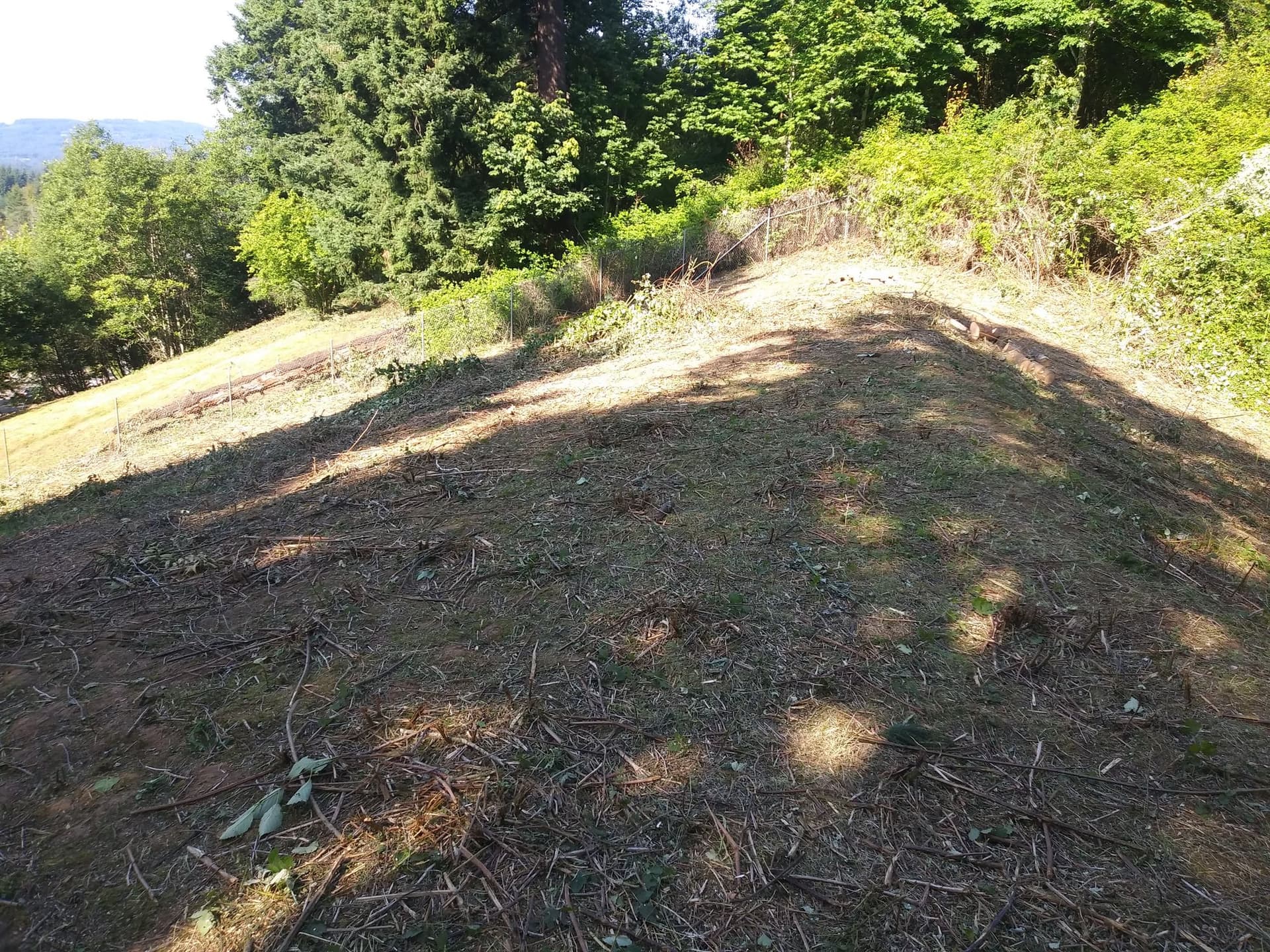 Early stage drainage work