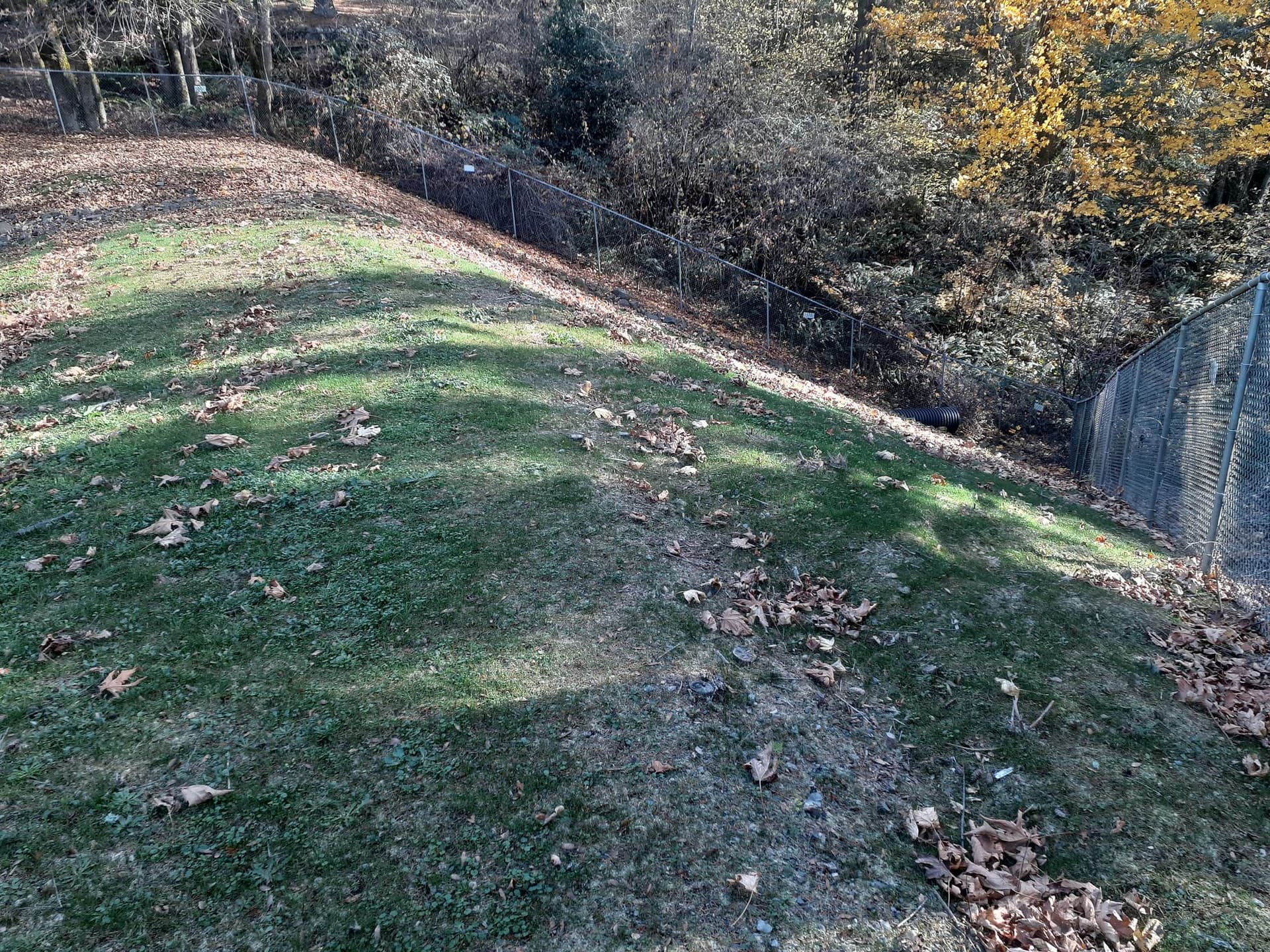 Completed drainage pathway