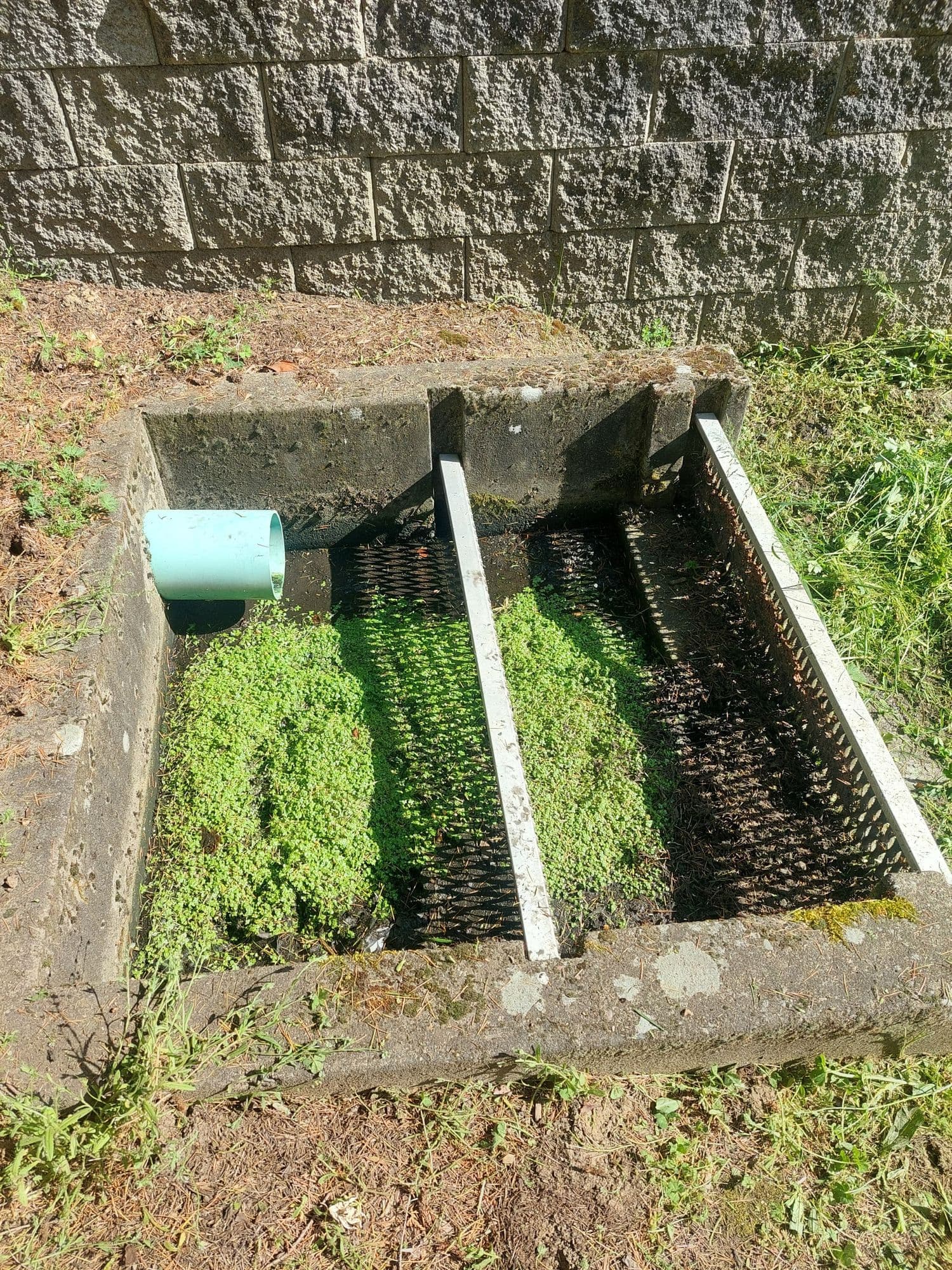 Drainage infrastructure at Vintage Oaks Apartments