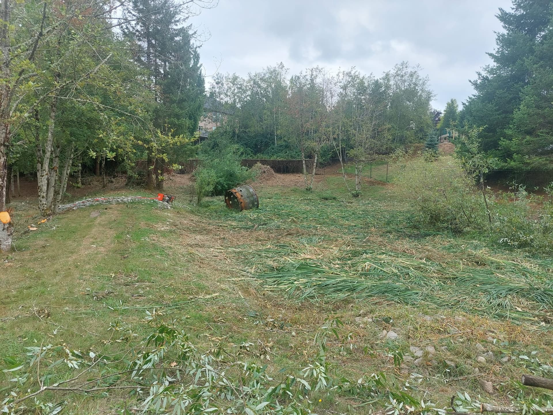 Drainage system implementation