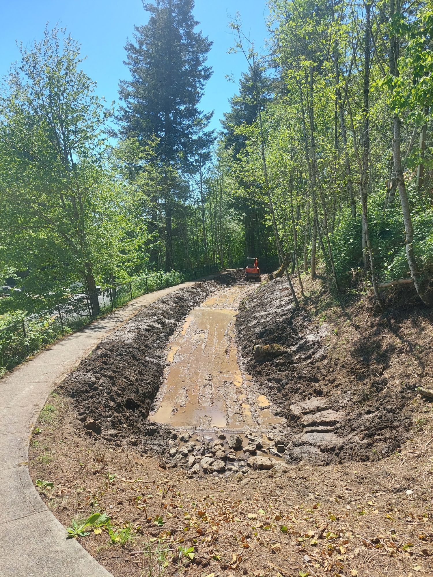 Brady Ridge HOA Swale Restoration Project